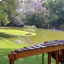 Marimba en jardín